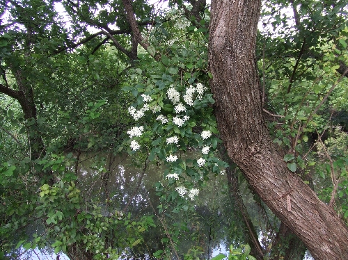 変換 ~ 915 029.jpg